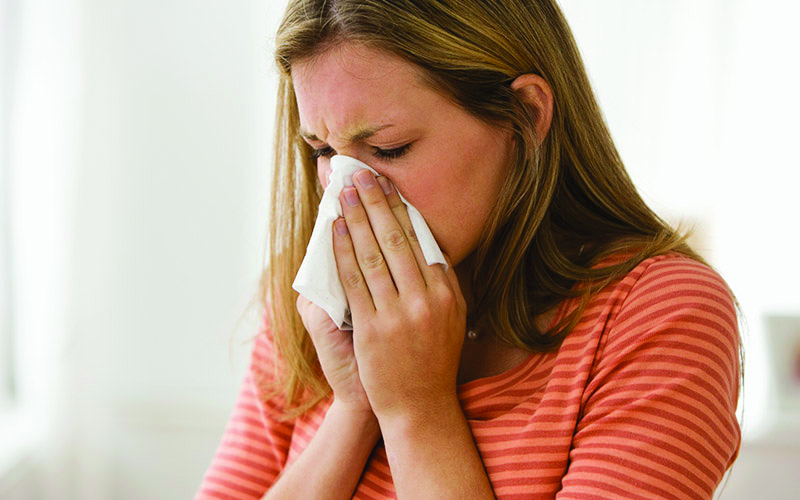 minimize allergens in Morton Grove, IL